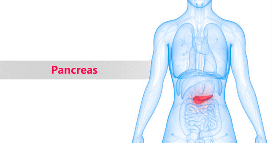 Stage 4 Pancreatic Cancer Survival Rate By Age