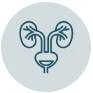 kidney-cancer icon