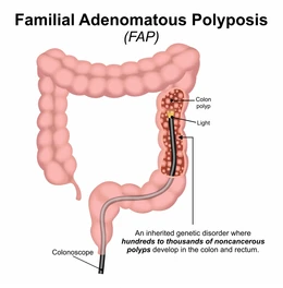 Picture | Dr Sandeep Nayak