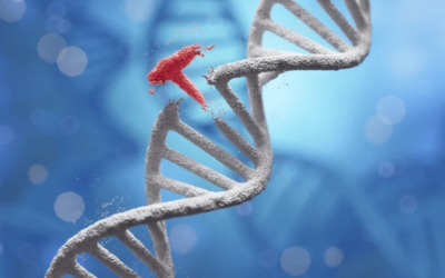 Is Cancer Genetic? Causes & Risk Factors