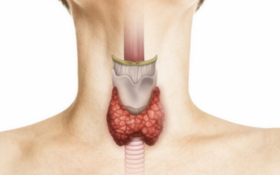 Cost of Scarless Thyroid Surgery in India