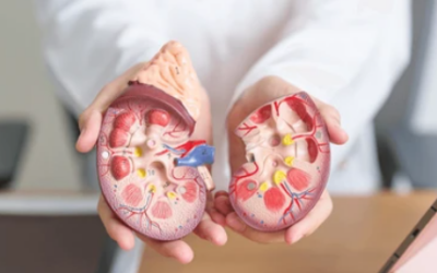 What Are Adrenal Tumors?