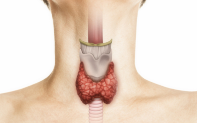 What Is RABIT Thyroid Surgery?
