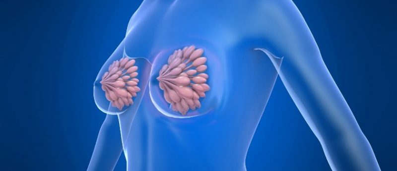 Hormone Therapy vs Surgery in HR Positive Breast Cancer