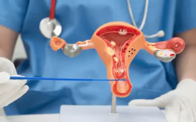 Is Stage 2 Cancer Curable or Treatable?