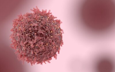What Does HER2 Positive Mean for Treatment?