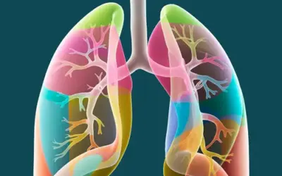 Is Lung Cancer Surgery Possible in Stage 3?