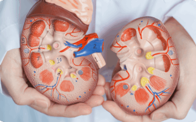 Best Adrenal Tumor Surgeon in Bangalore?