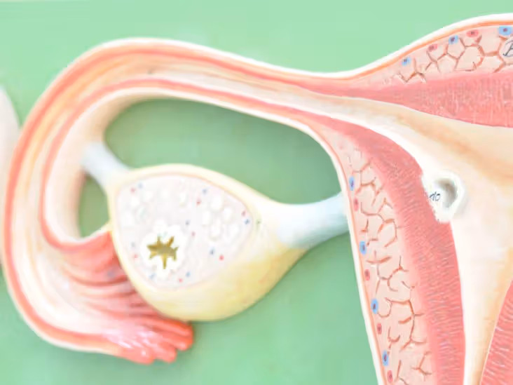Stage 3 Ovarian Cancer Surgery - Dr. Sandeep Nayak