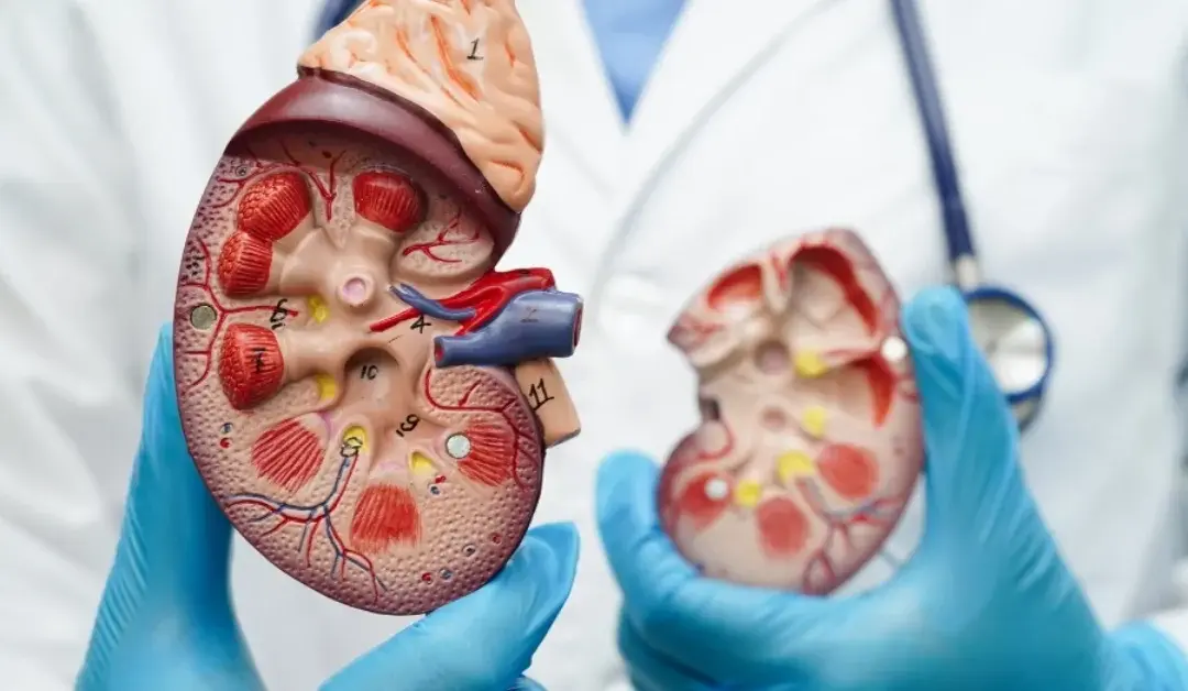 How Do Doctors Know If an Adrenal Tumor Is Cancer?