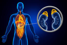Is Adrenal Cancer Curable With Surgery Alone?