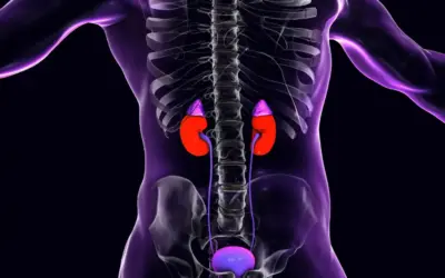 What Is Laparoscopic Adrenalectomy Recovery Like?