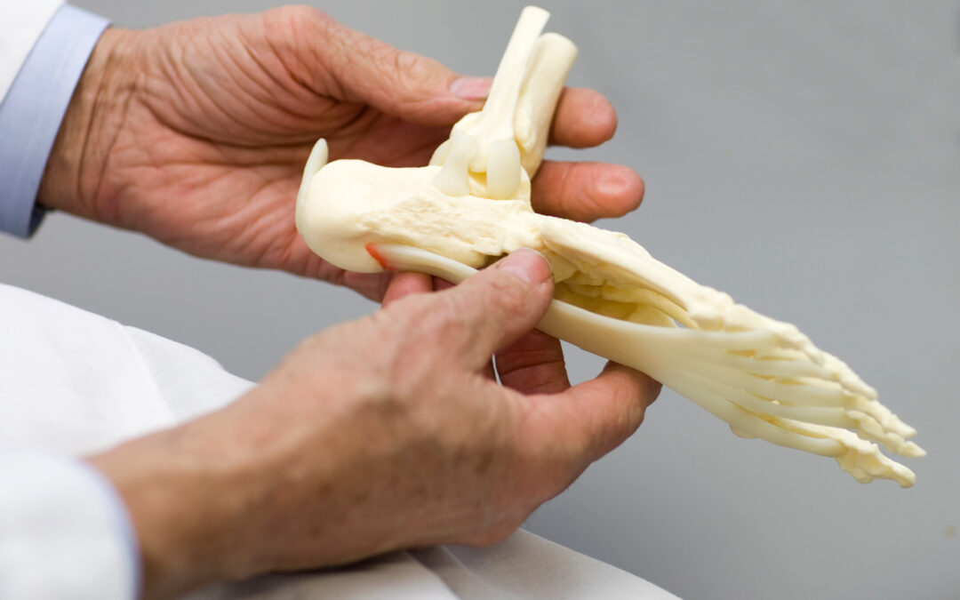 Can Prostate Cancer Spread to the Bones?