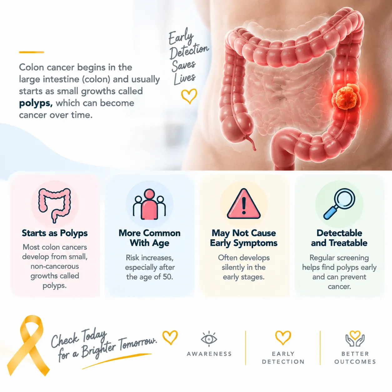 infographic about colon cancer awareness showing a 3d colon, headline and four tips: starts as polyps, more common with age, may not cause early symptoms, detectable and treatable.